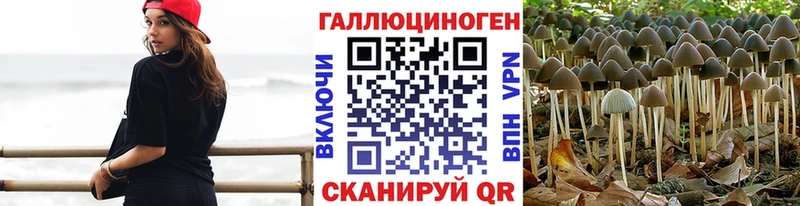 Галлюциногенные грибы Cubensis  Купить где  Няндома 